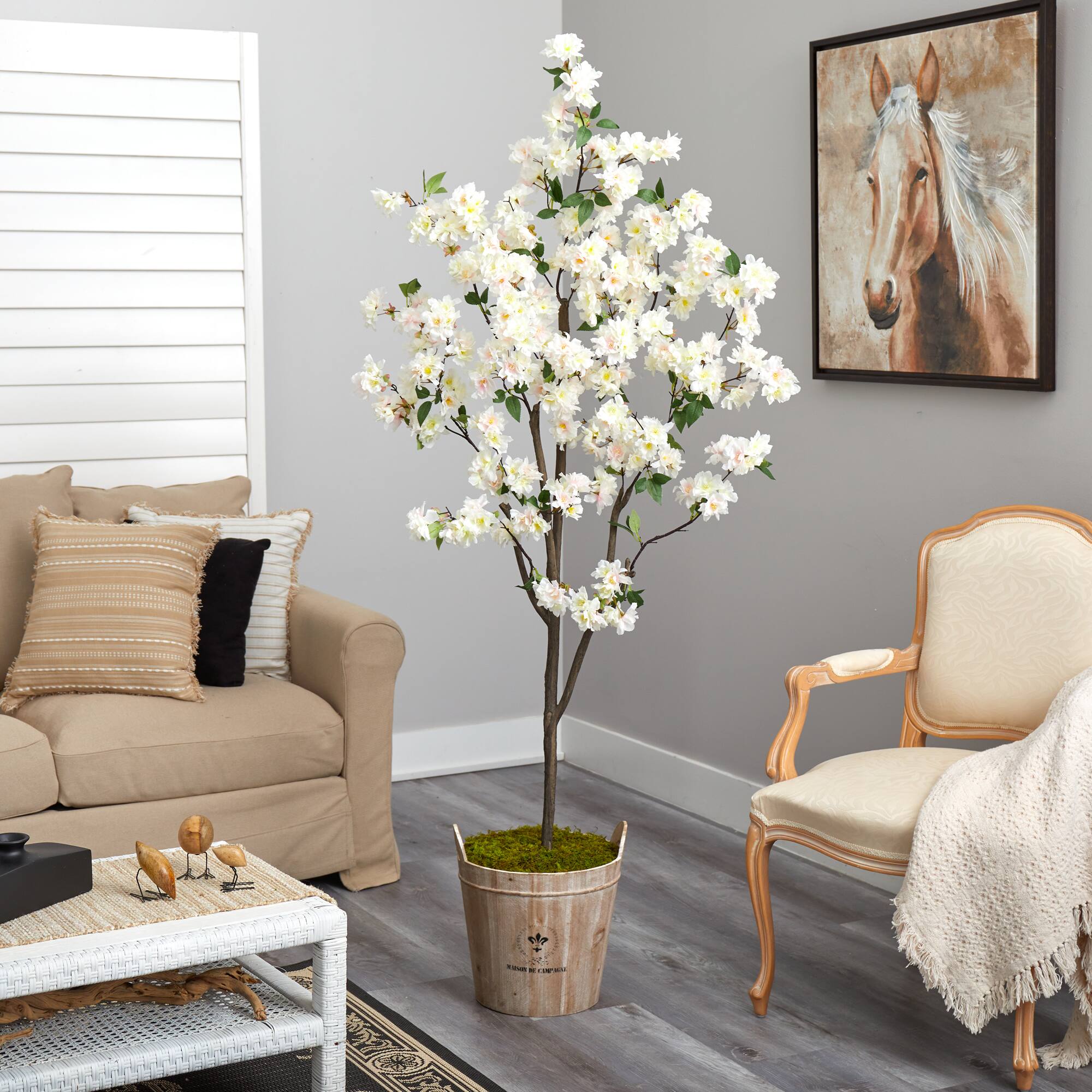 6ft. Cherry Blossom Tree in Farmhouse Planter